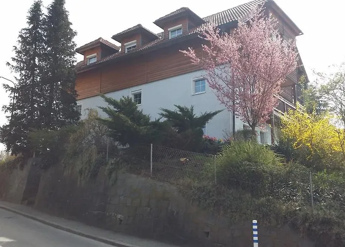 Mayerhofer House