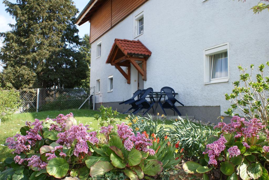 Mayerhofer House Apartamento Linz